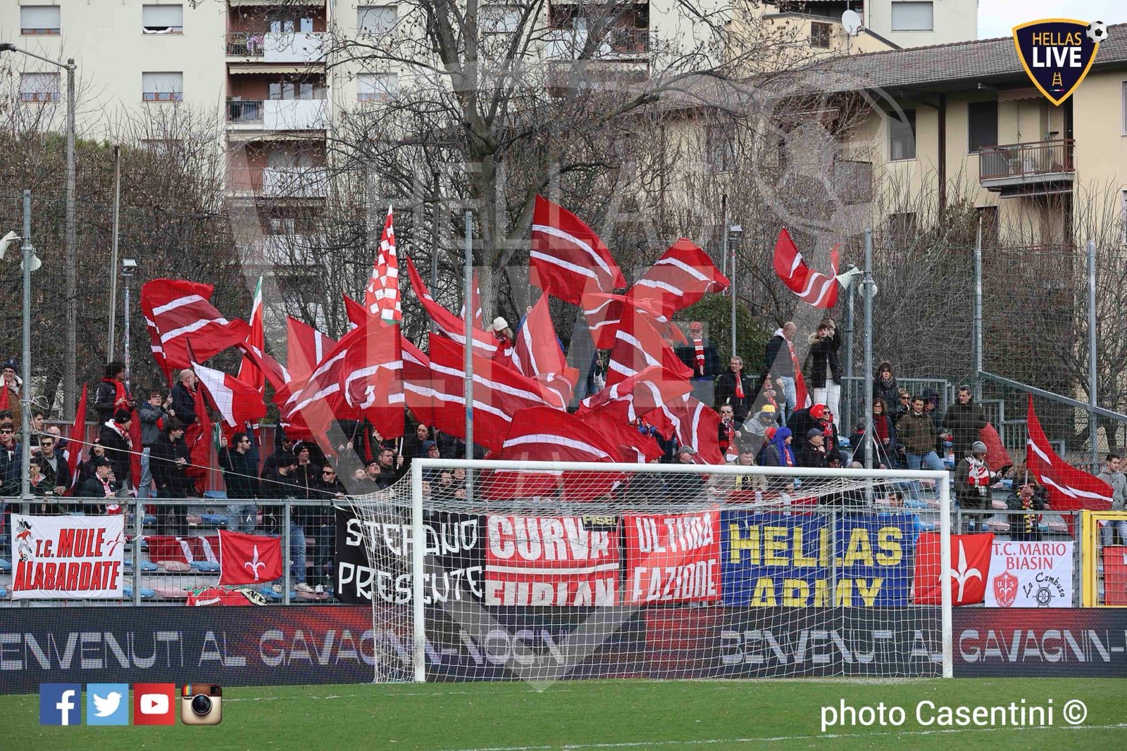 Uniti per la Vittoria: L’Hellas Army Sostiene gli Amici della Triestina – Scopri Tutti i Dettagli!